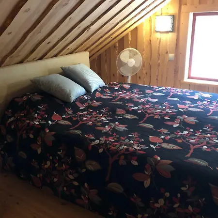 Manniladva Holiday Pusku